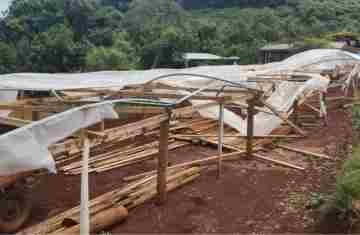 Cantagalo - Fenômeno climático causa destruição e prejuízos 